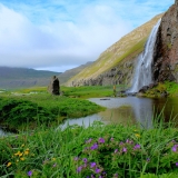 Hornvik Islande