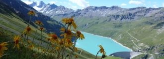 Barrage de Moiry