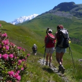 La Montagne d'Outray et des rhododhendrons