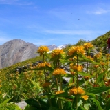 randonnée dans le Grand Paradiso