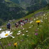Descente sur le refuge Pastore et Alagna Valsesia