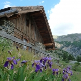 Tour du Queyras