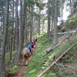 Tour de la Vallée du Trient, Vallon de Van